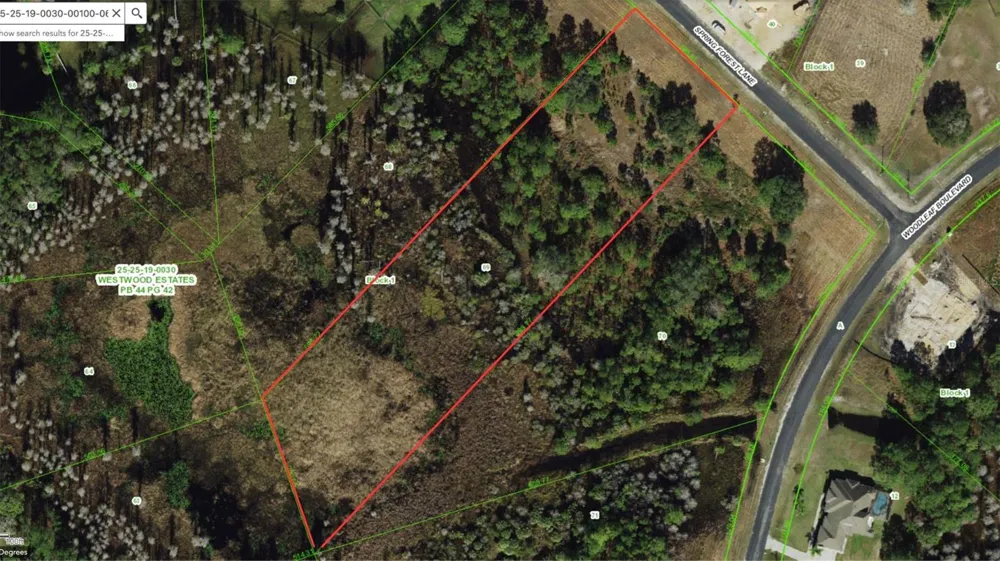 8616 SPRING FOREST LANE Wesley Chapel, FL 33544