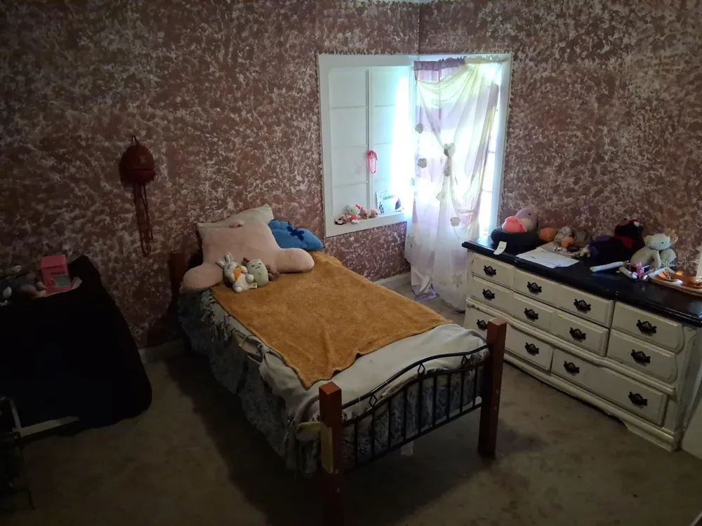 5741 NW 191ST PLACE Reddick, FL 32686