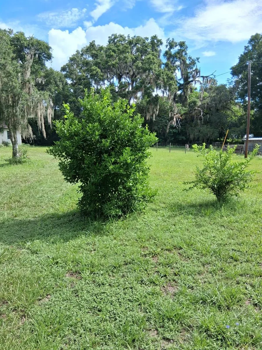 5741 NW 191ST PLACE Reddick, FL 32686