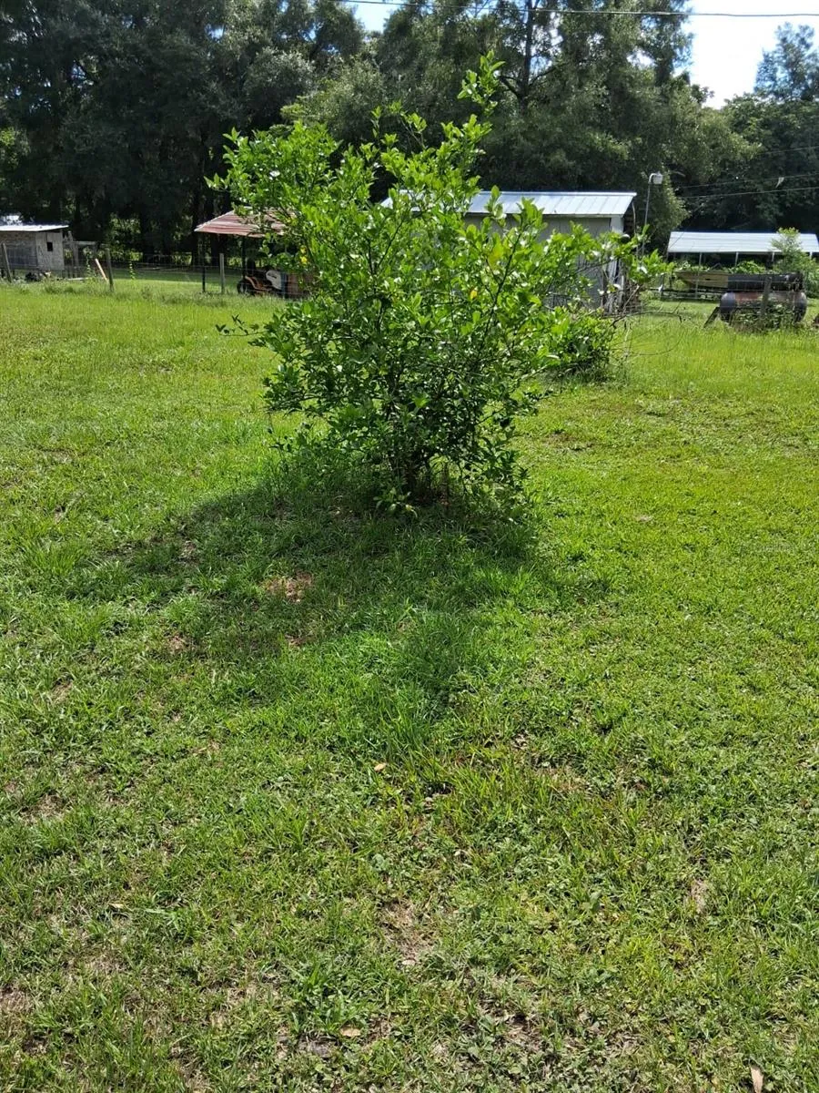 5741 NW 191ST PLACE Reddick, FL 32686