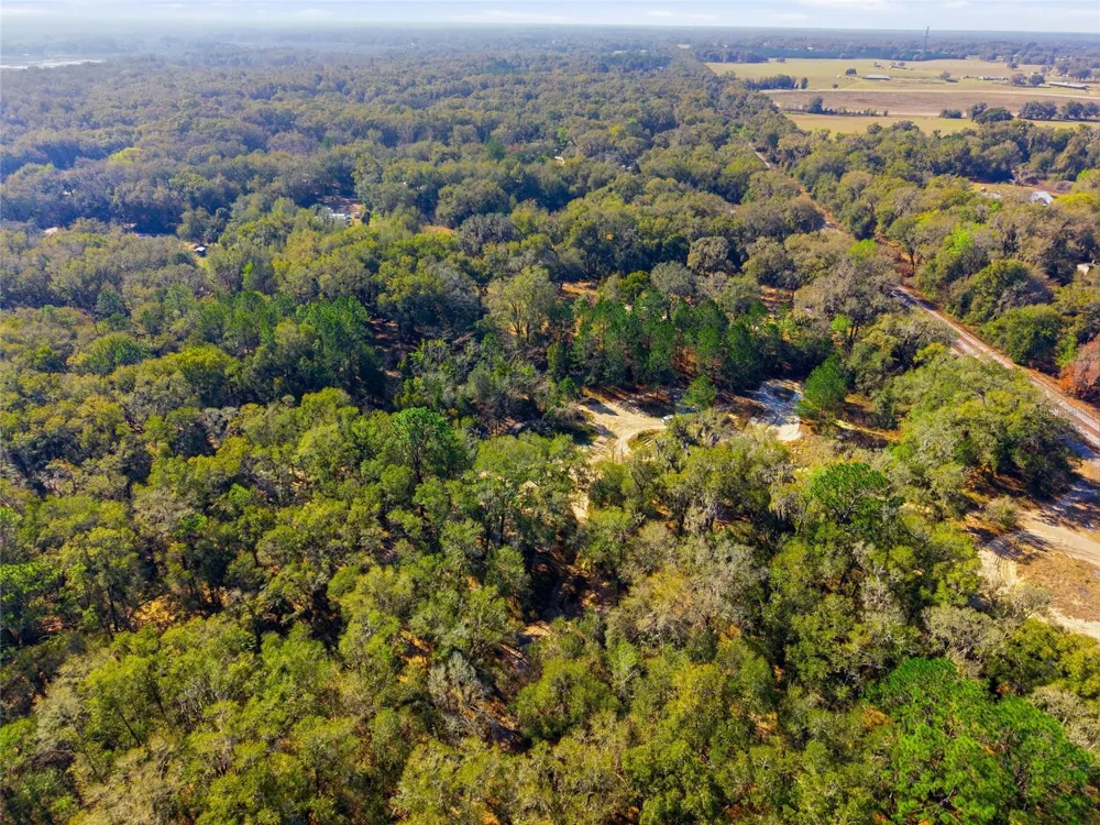 Lot 027 NE 164TH LANE Citra, FL 32113