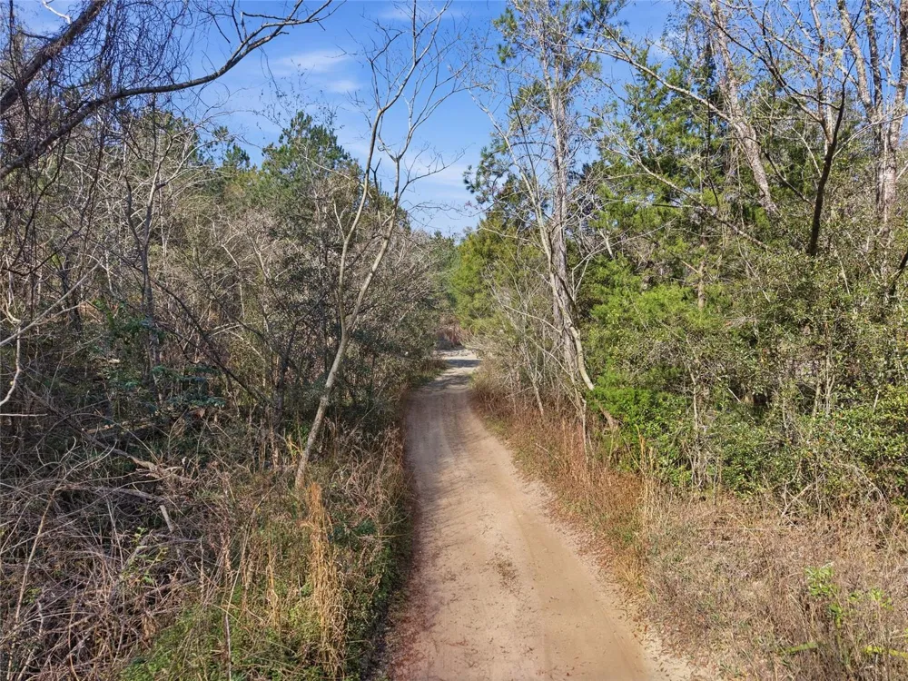 Lot 027 NE 164TH LANE Citra, FL 32113