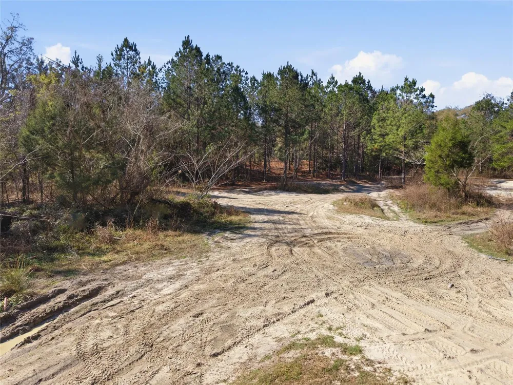 Lot 027 NE 164TH LANE Citra, FL 32113