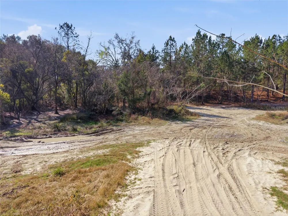 Lot 027 NE 164TH LANE Citra, FL 32113