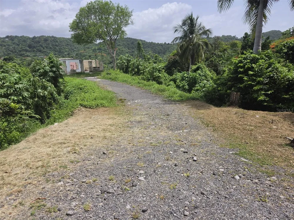 Carr. 348, Km. 5.7 Int. BO. MALEZAS Mayaguez, PR 00680