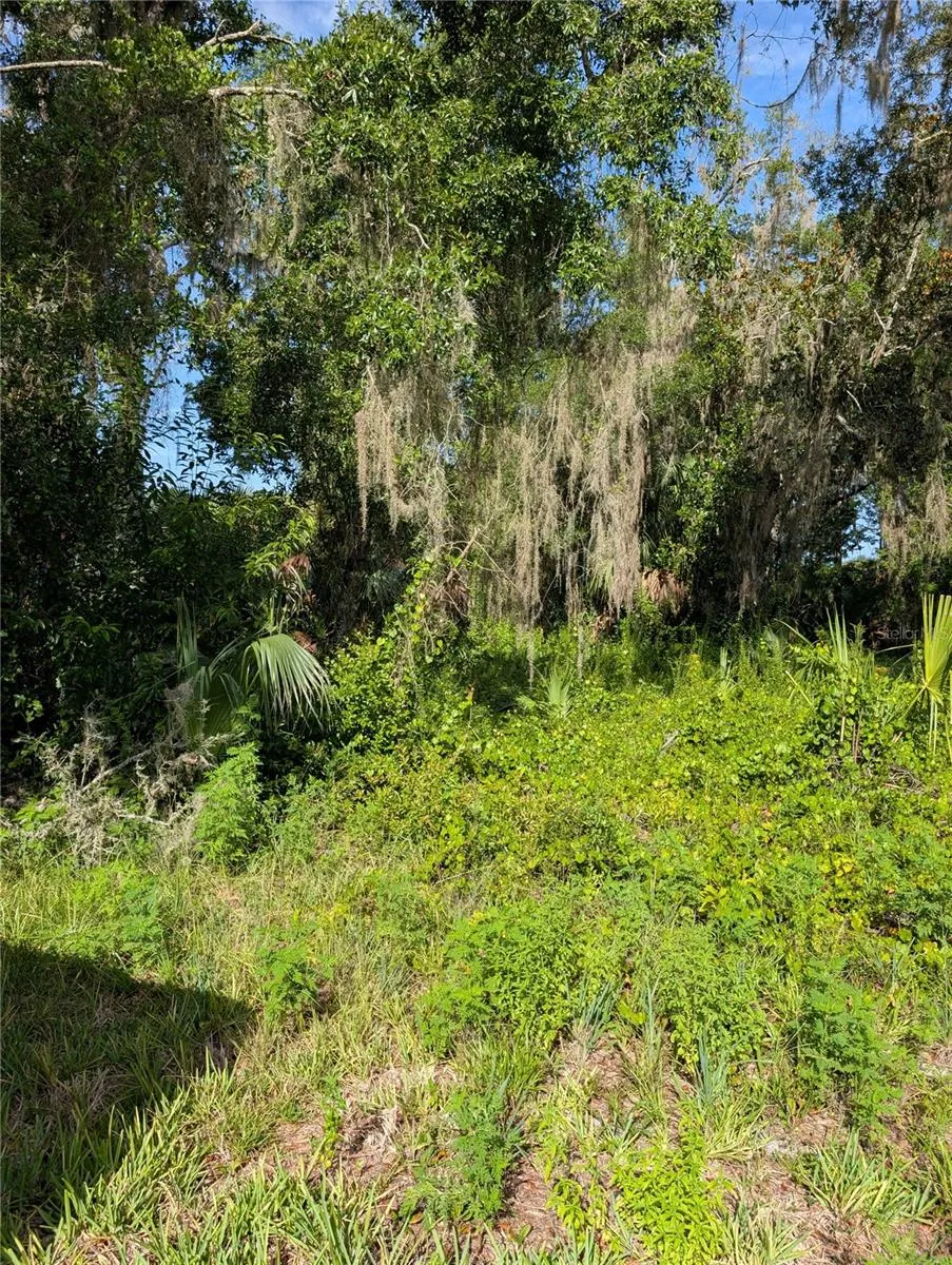 6650 BEECHNUT LOOP Hernando, FL 34442