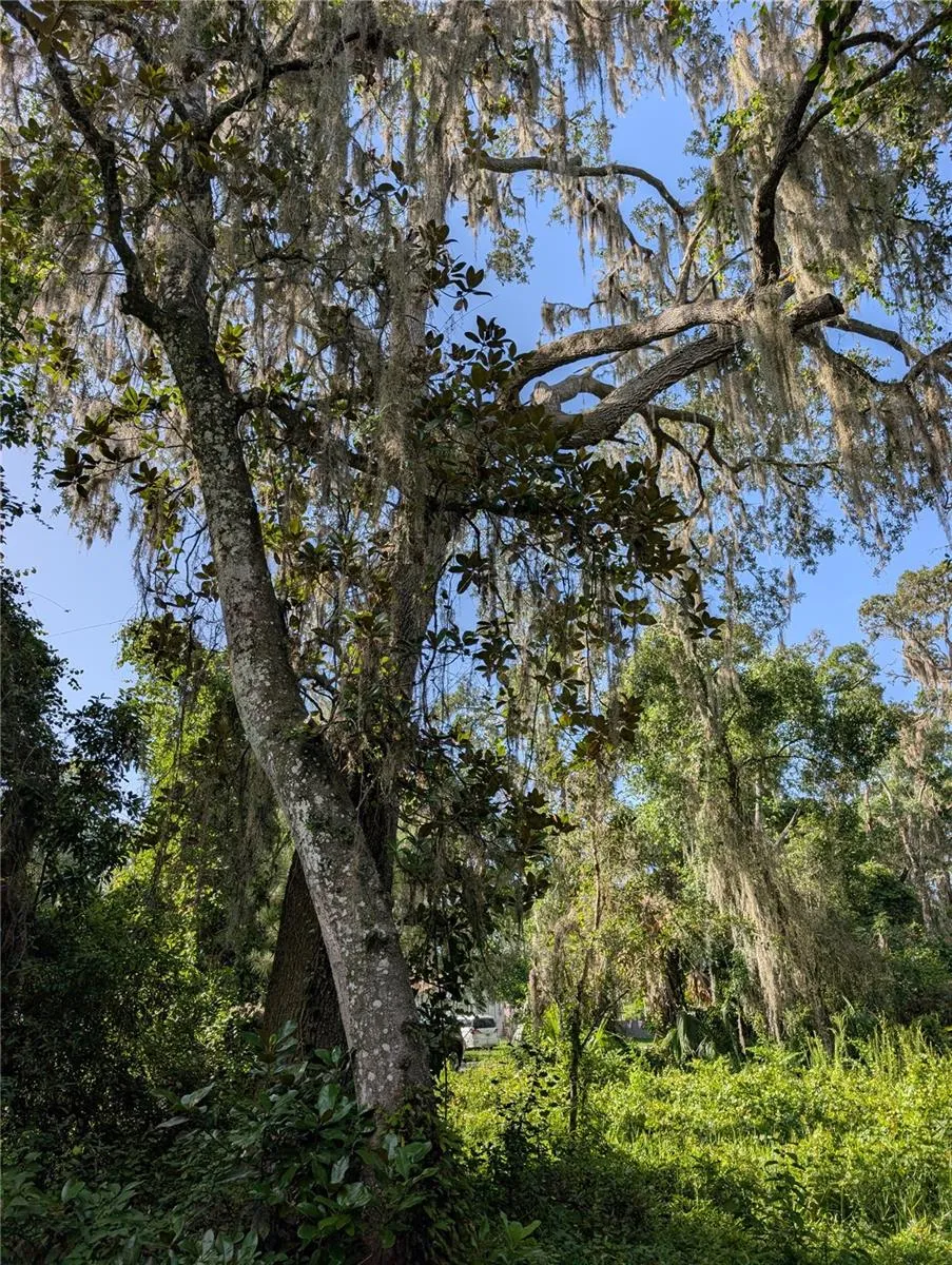 6650 BEECHNUT LOOP Hernando, FL 34442