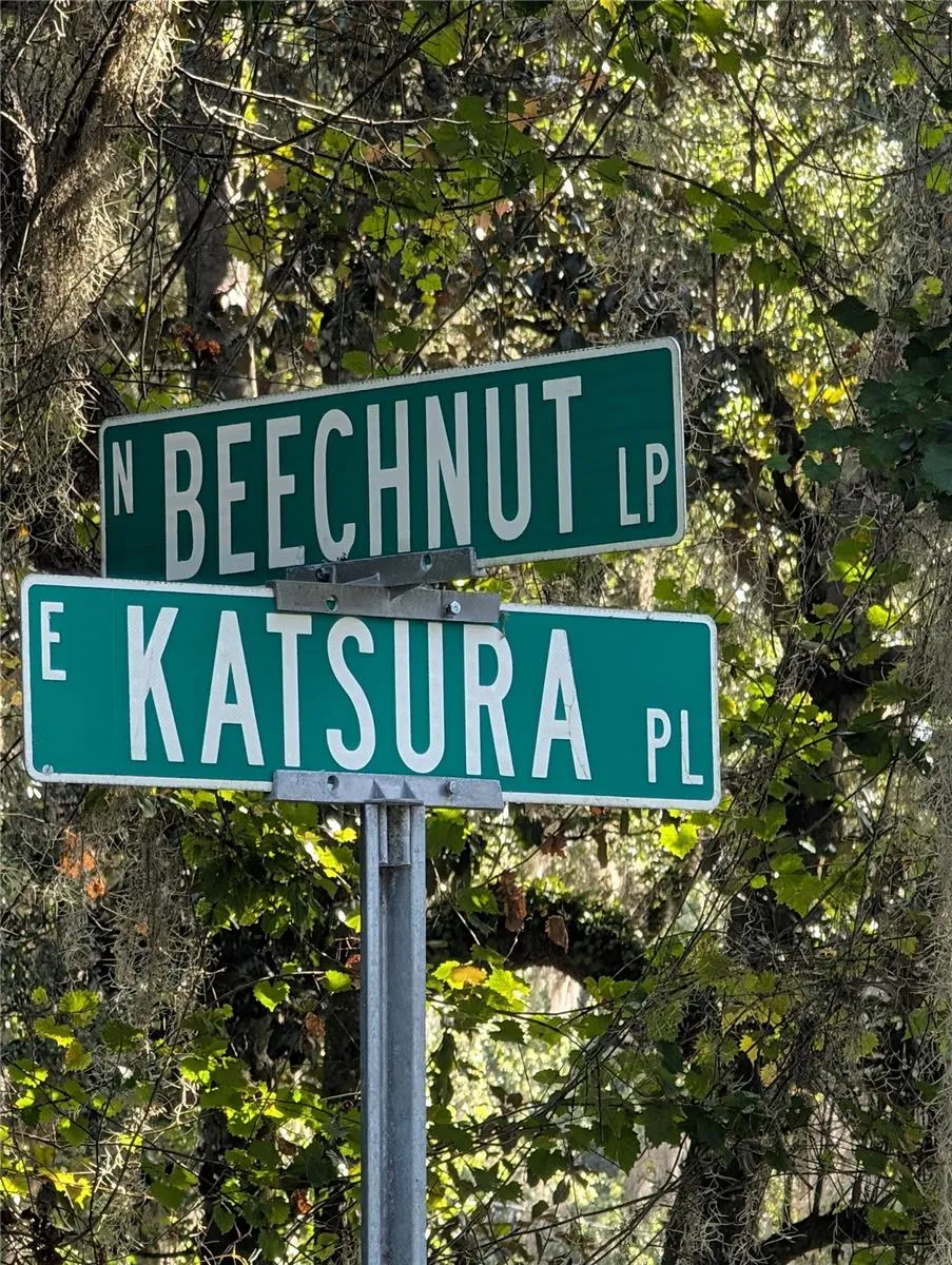 6650 BEECHNUT LOOP Hernando, FL 34442