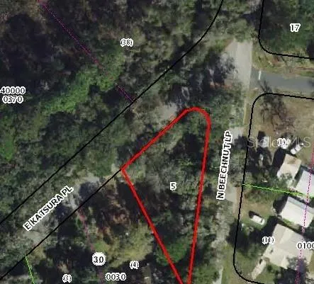 6650 BEECHNUT LOOP Hernando, FL 34442