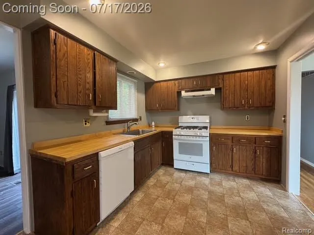 11219 MORGAN AVENUE Plymouth Charter Township, MI 48170