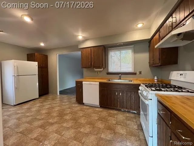 11219 MORGAN AVENUE Plymouth Charter Township, MI 48170