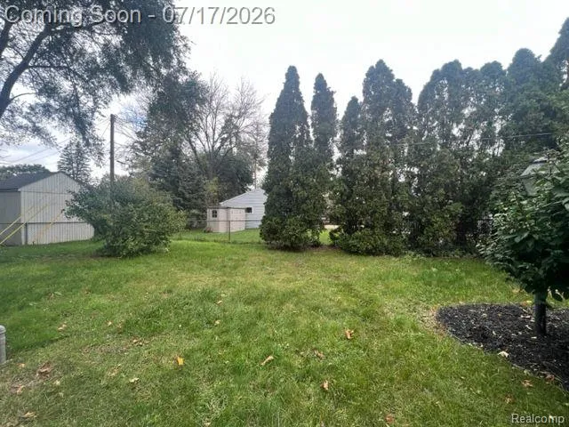 11219 MORGAN AVENUE Plymouth Charter Township, MI 48170
