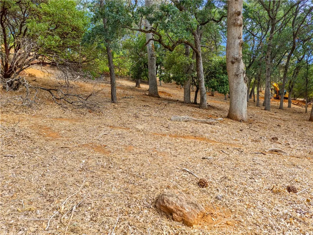 2685 Greenway Dr Kelseyville, CA 95451