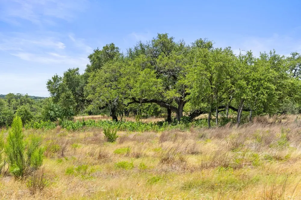 207 Verbena Road Johnson City, TX 78636