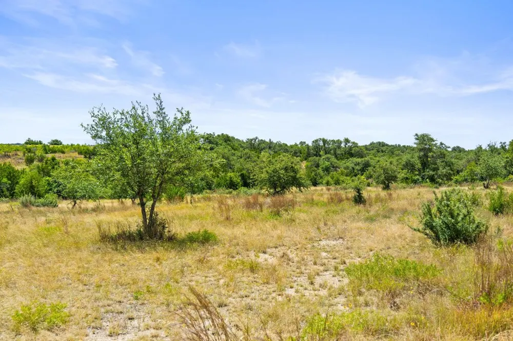 207 Verbena Road Johnson City, TX 78636