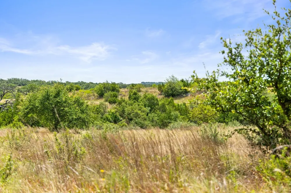 207 Verbena Road Johnson City, TX 78636