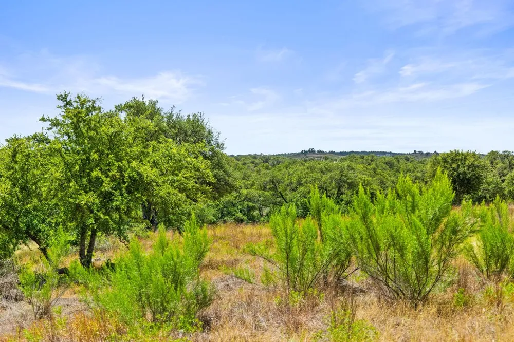 207 Verbena Road Johnson City, TX 78636