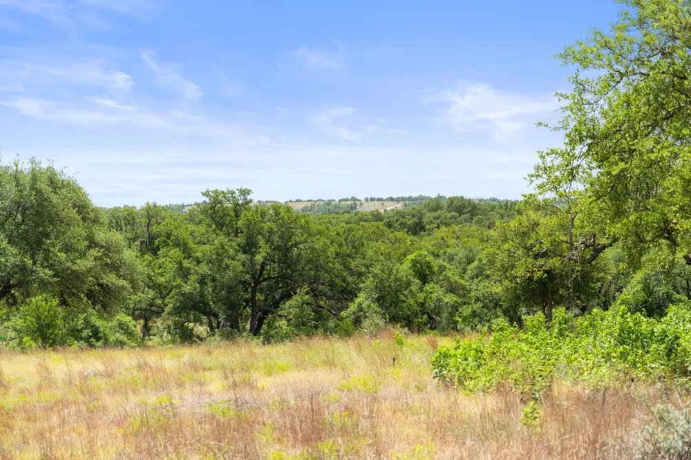 207 Verbena Road Johnson City, TX 78636