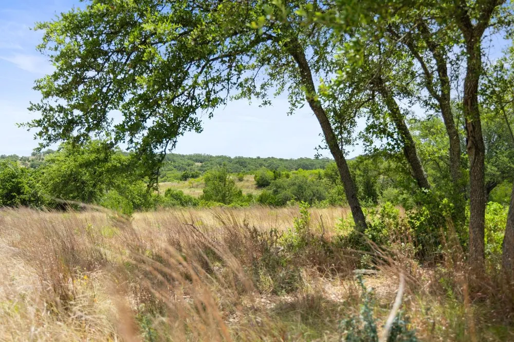 207 Verbena Road Johnson City, TX 78636