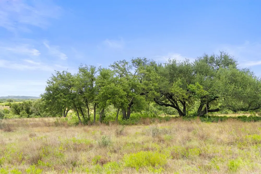 207 Verbena Road Johnson City, TX 78636
