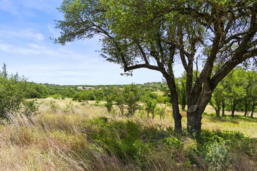 207 Verbena Road Johnson City, TX 78636