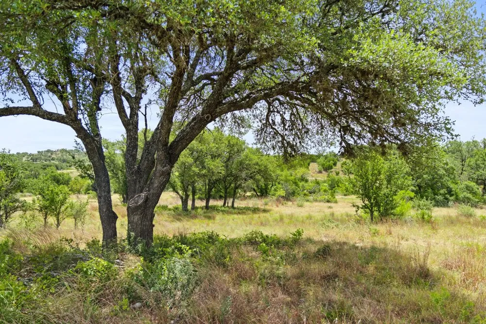 207 Verbena Road Johnson City, TX 78636