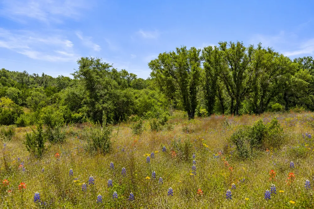 207 Verbena Road Johnson City, TX 78636