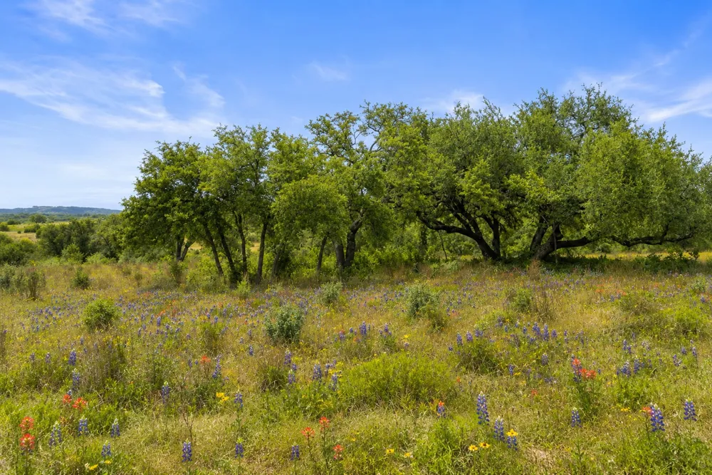 207 Verbena Road Johnson City, TX 78636