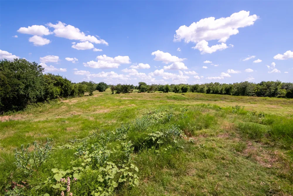 CR 663 Farmersville, TX 75442