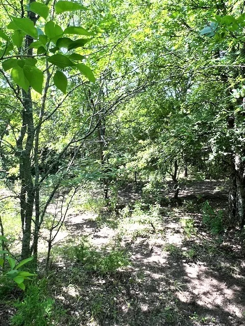 CR 663 Farmersville, TX 75442