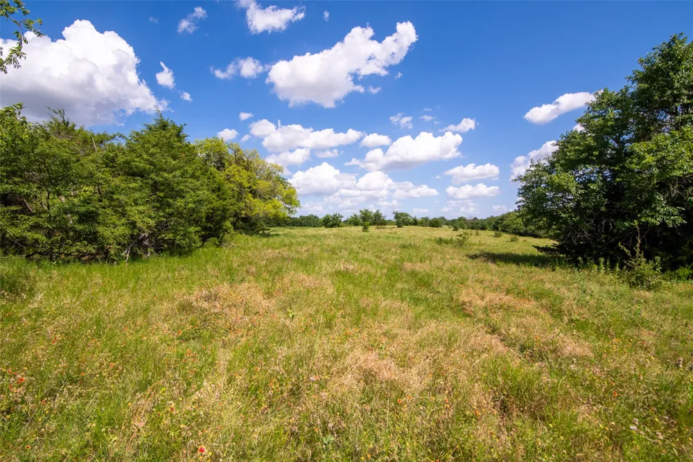 CR 663 Farmersville, TX 75442