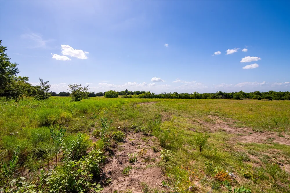 CR 663 Farmersville, TX 75442