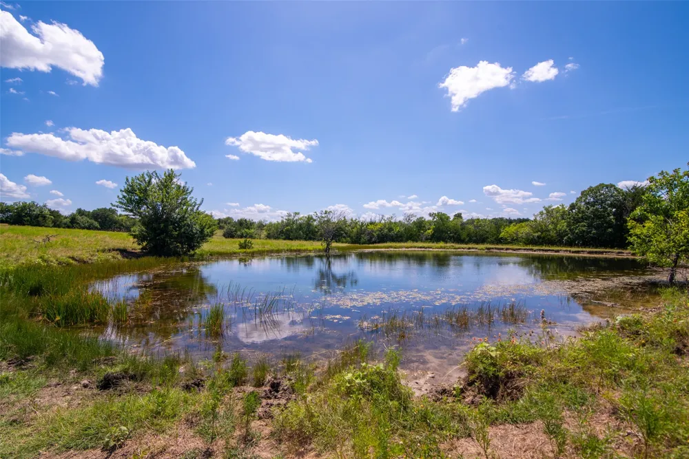 CR 663 Farmersville, TX 75442