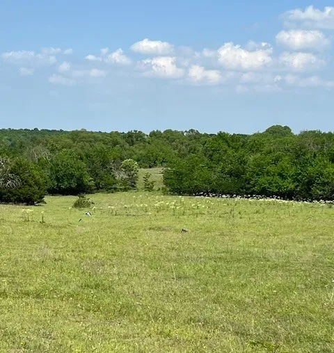 CR 663 Farmersville, TX 75442