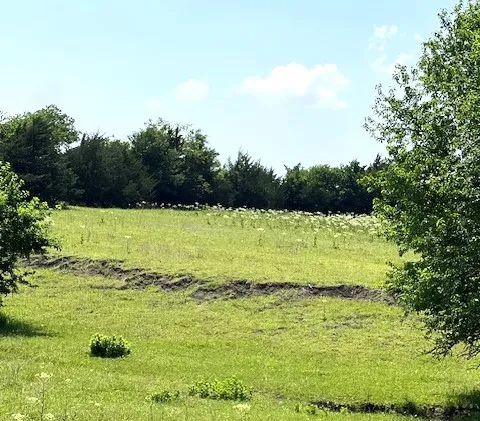 CR 663 Farmersville, TX 75442