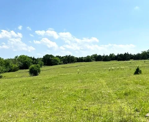 CR 663 Farmersville, TX 75442