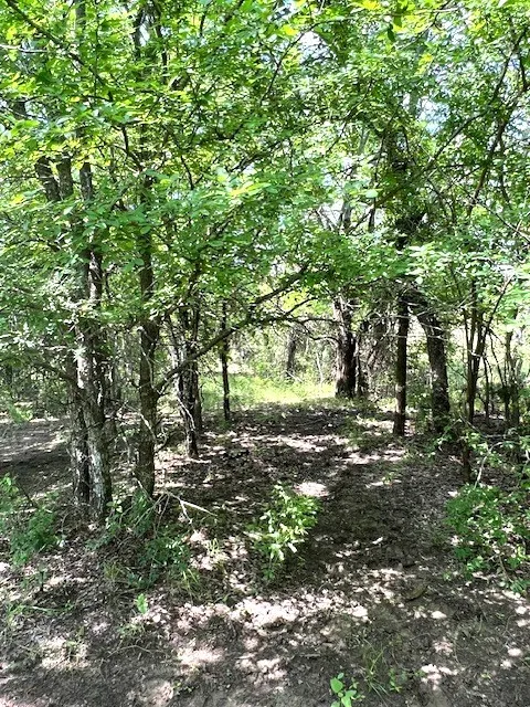 CR 663 Farmersville, TX 75442