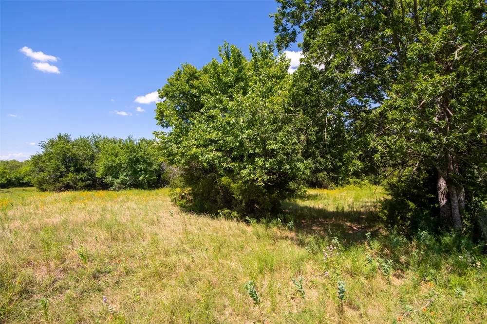 CR 663 Farmersville, TX 75442