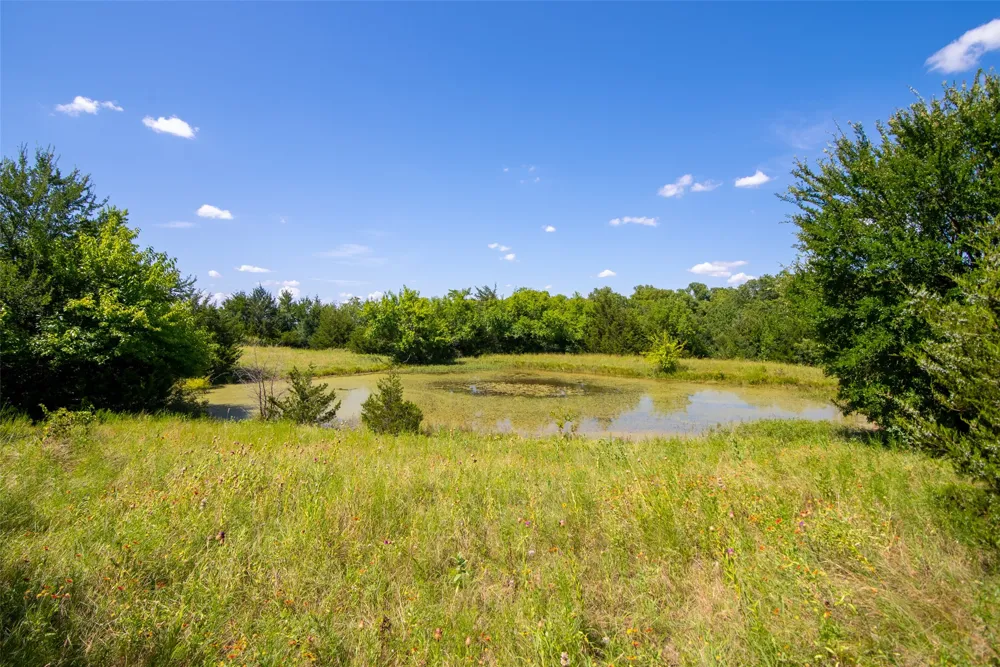 CR 663 Farmersville, TX 75442