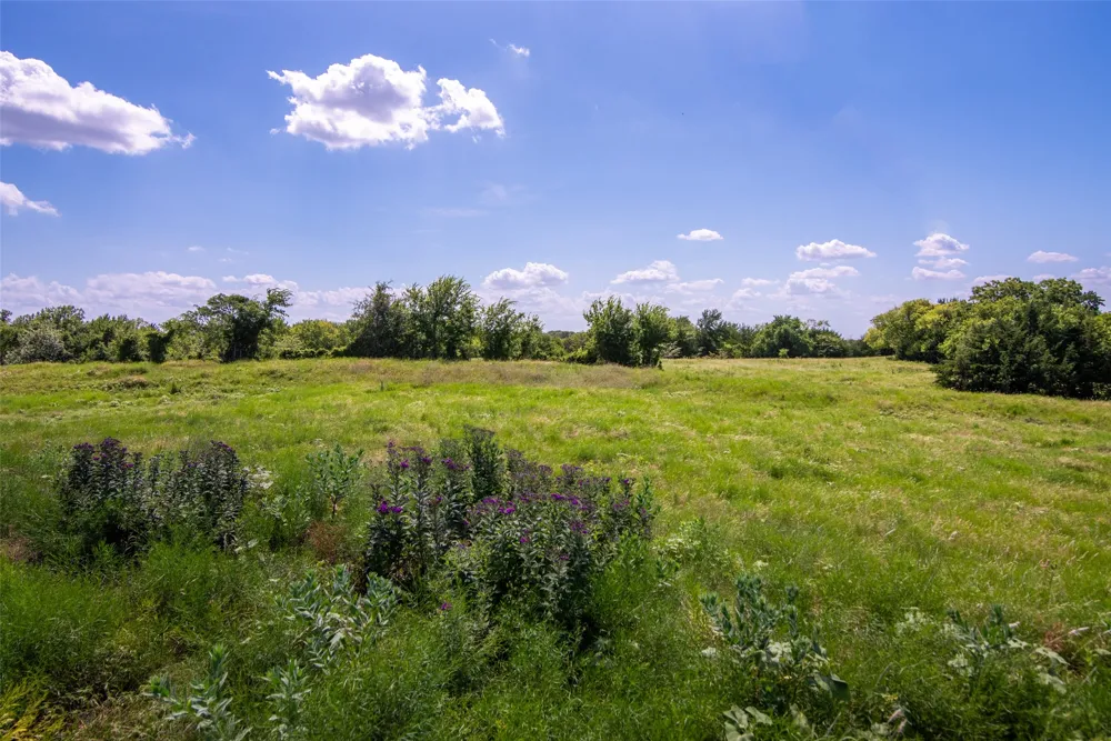 CR 663 Farmersville, TX 75442