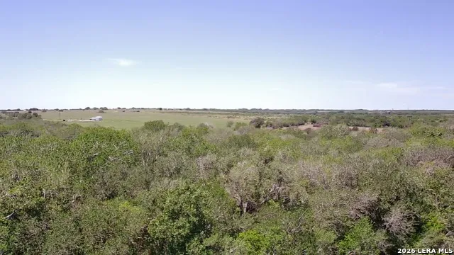 2103 COUNTY ROAD 138 Kenedy, TX 78119