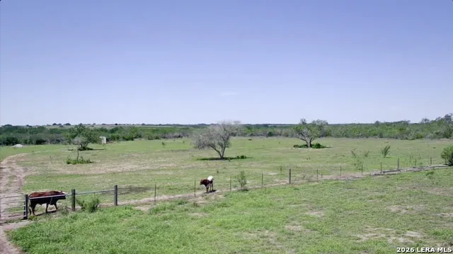 2103 COUNTY ROAD 138 Kenedy, TX 78119