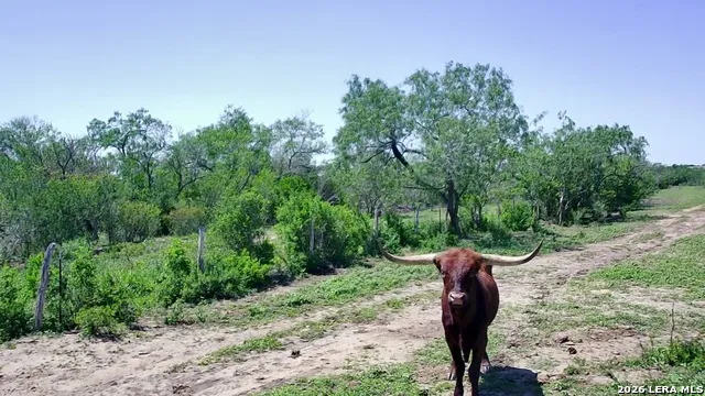 2103 COUNTY ROAD 138 Kenedy, TX 78119