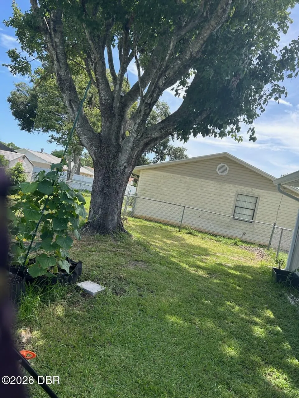 209 Lone Pine Drive Edgewater, FL 32132