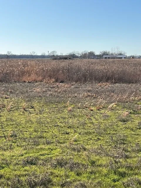 County Road 1240 Savoy, TX 75479