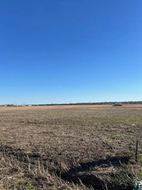 County Road 1240 Savoy, TX 75479