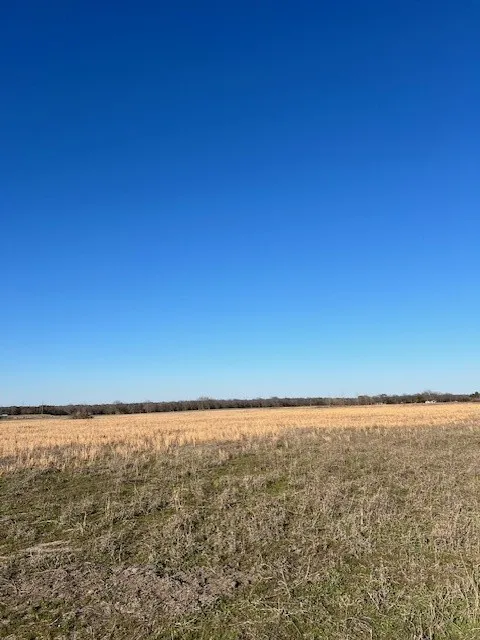 County Road 1240 Savoy, TX 75479