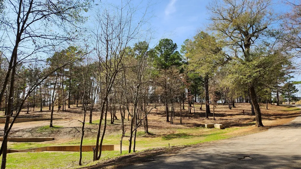 22540 CR 1174 Bullard, TX 75757