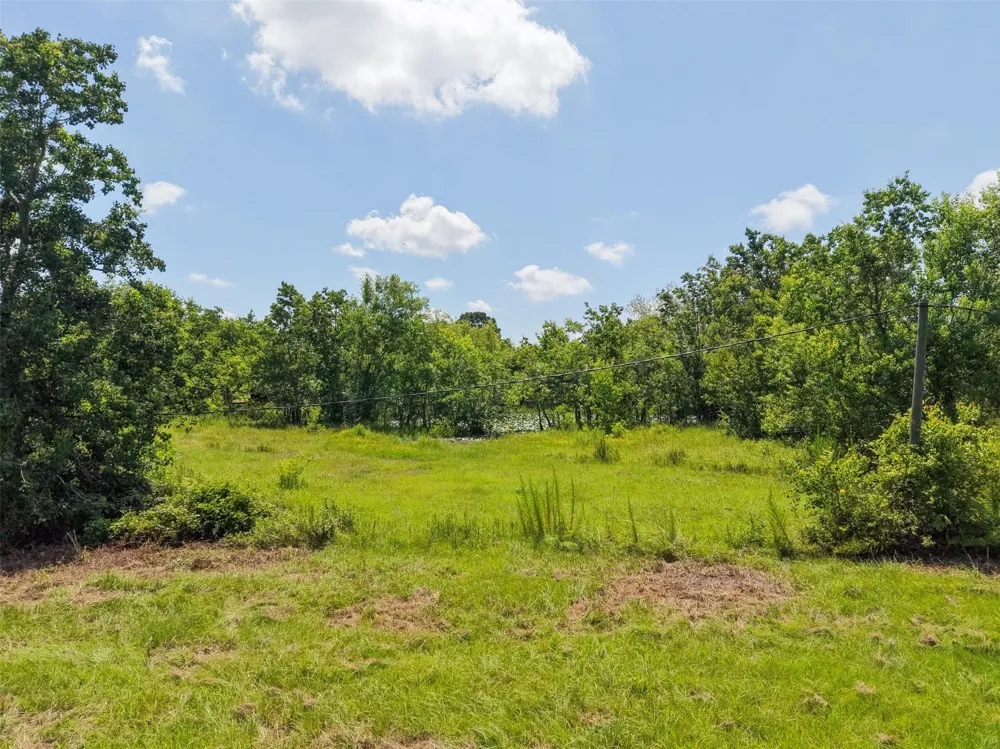 28619 Barry Lane Waller, TX 77484