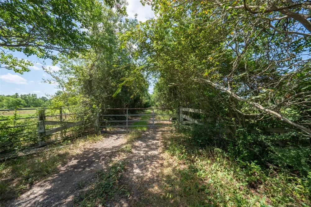 28619 Barry Lane Waller, TX 77484
